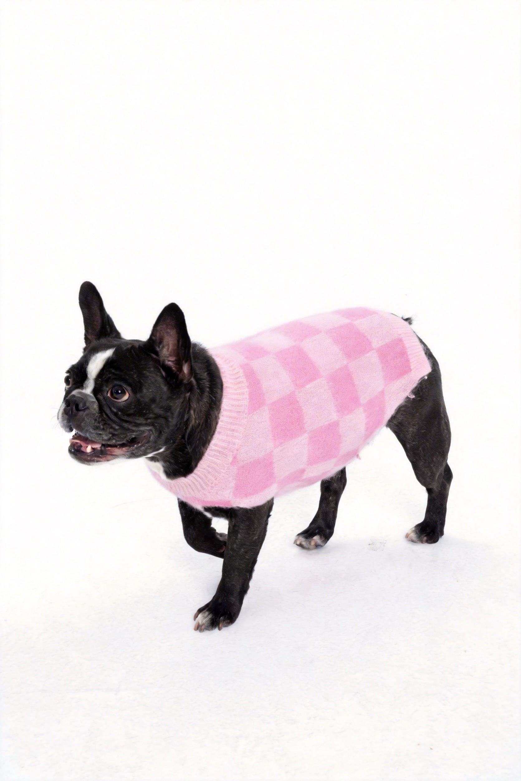 Checkered Dog Sweater