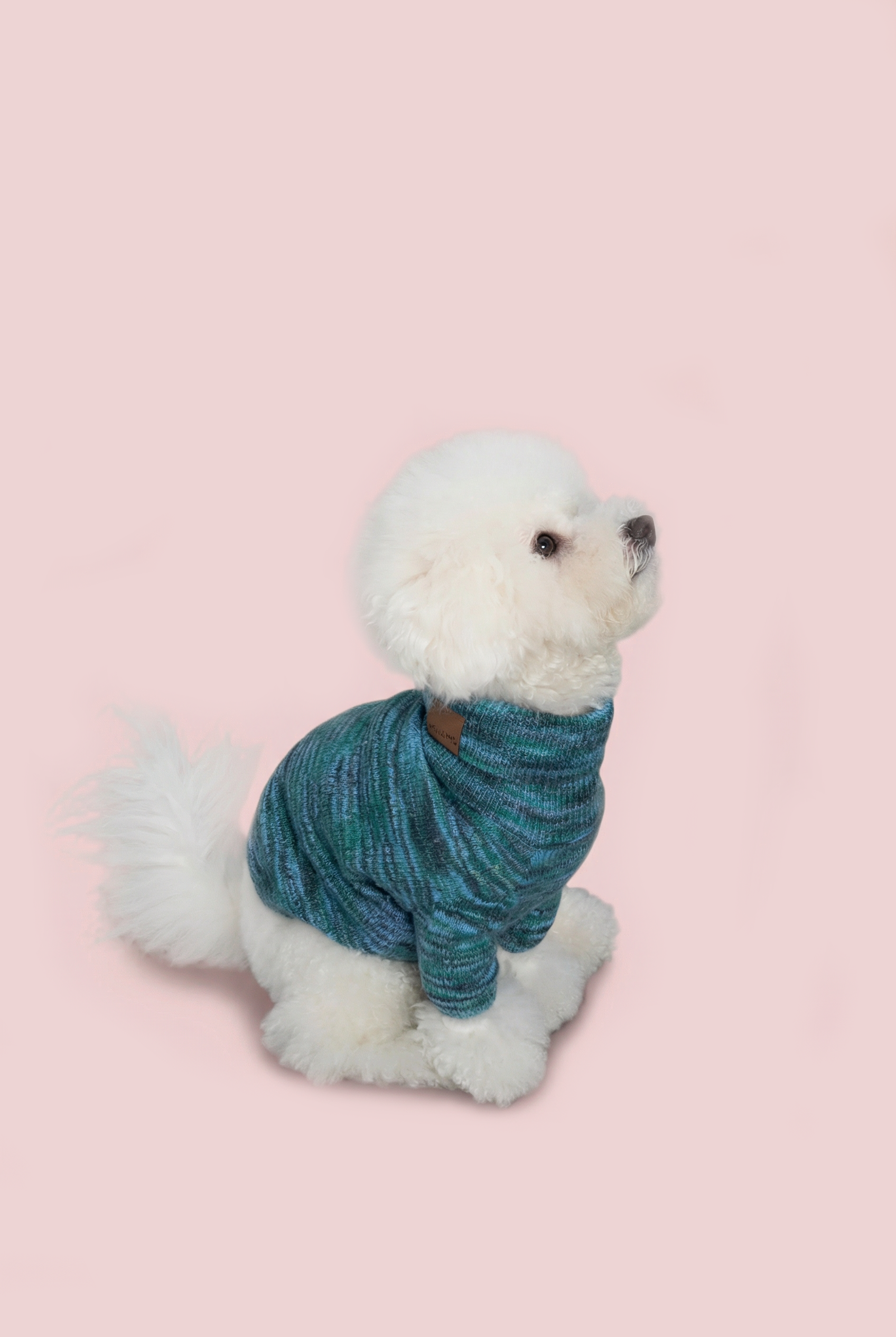 Blue Lace Knit Sweater