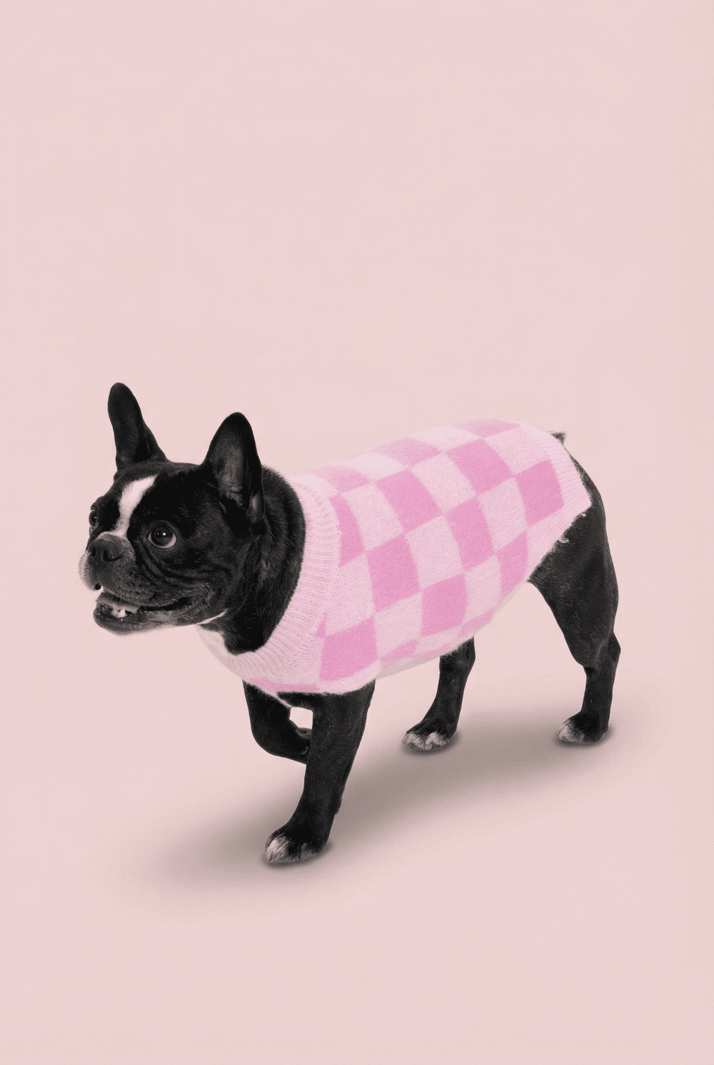 Checkered Knit Dog Sweater for Small Dogs – Soft Crewneck Outfit