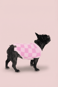 Checkered Knit Dog Sweater for Small Dogs – Soft Crewneck Outfit