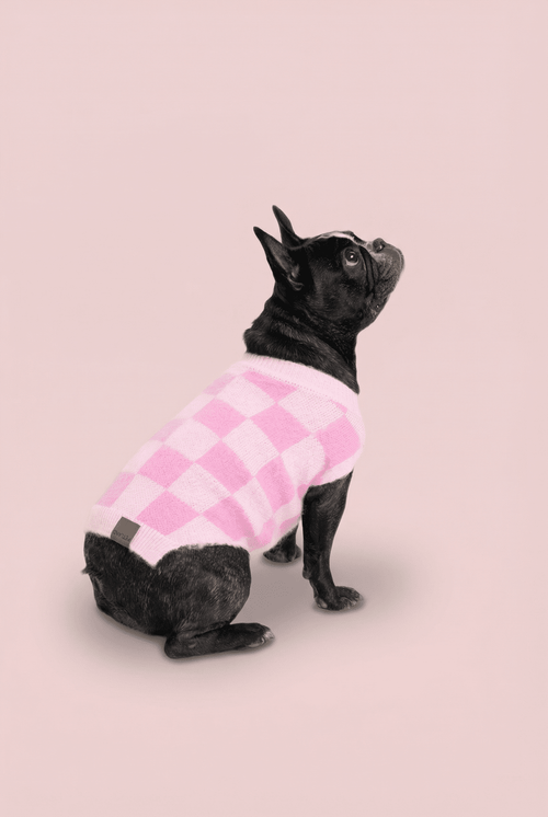 Checkered Knit Dog Sweater for Small Dogs – Soft Crewneck Outfit