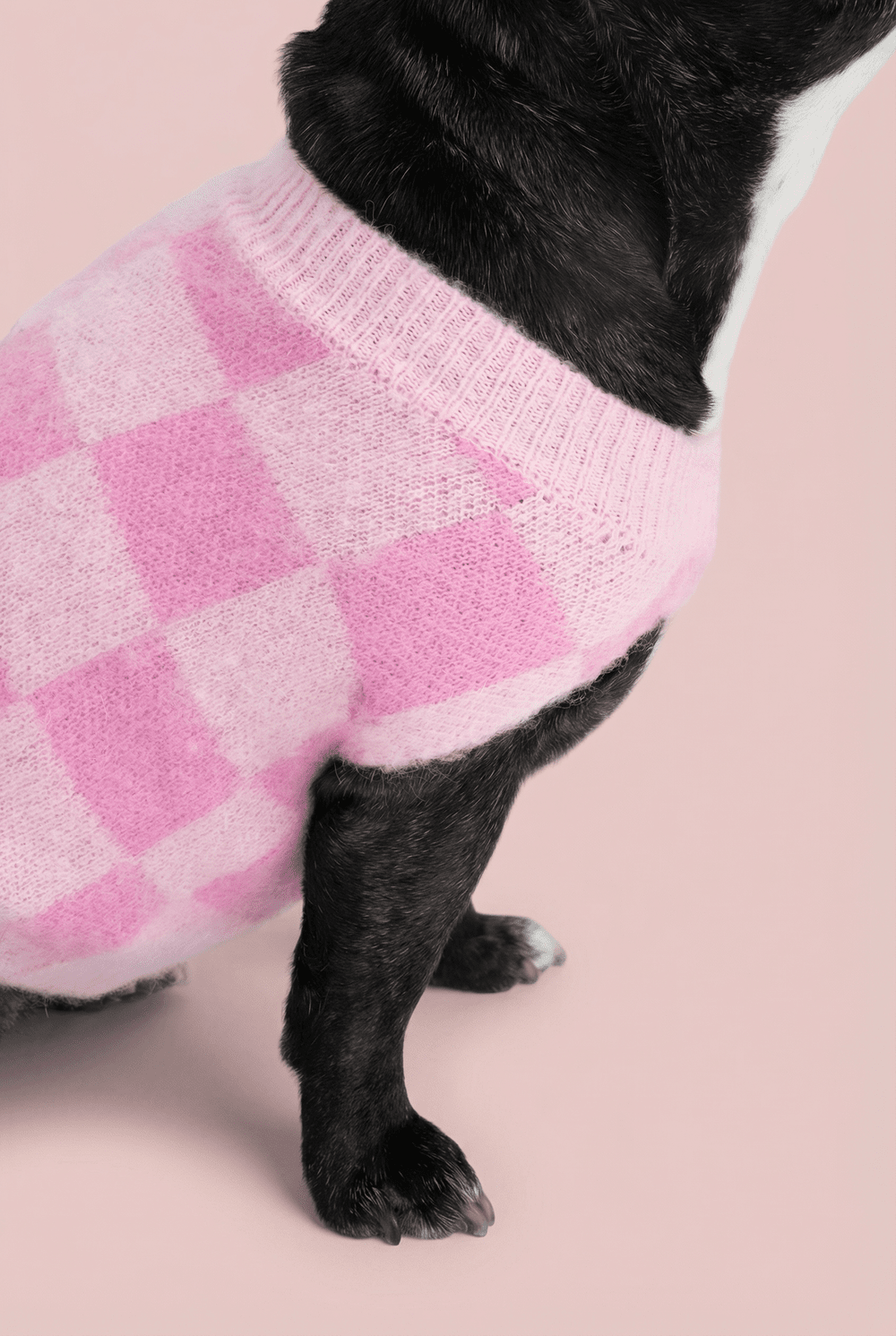 Checkered Knit Dog Sweater for Small Dogs – Soft Crewneck Outfit