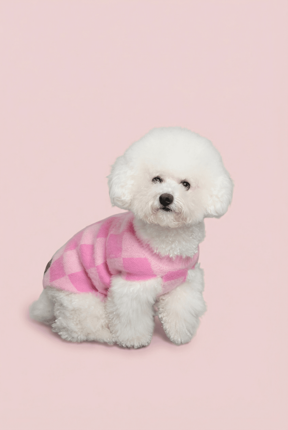 Checkered Knit Dog Sweater for Small Dogs – Soft Crewneck Outfit