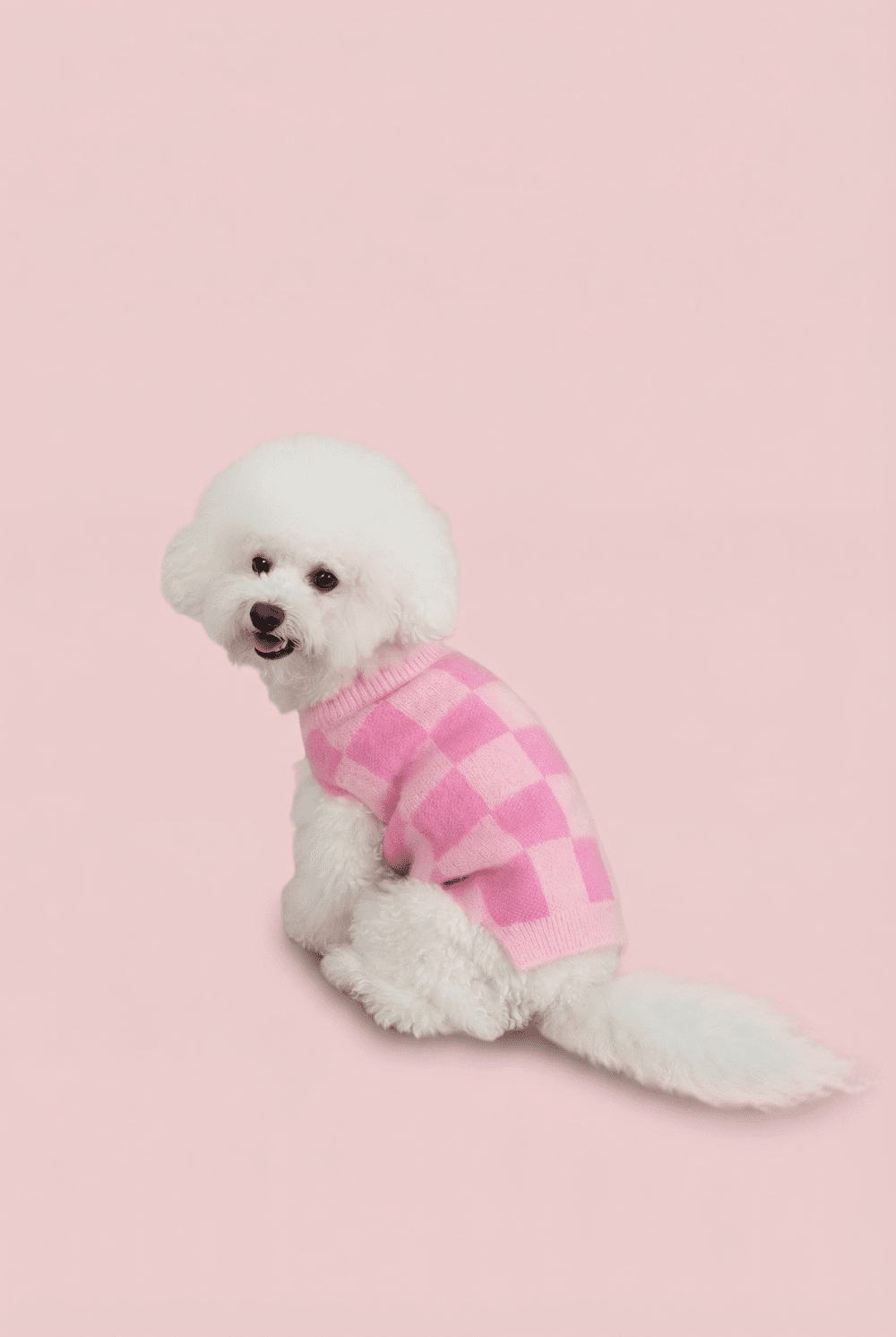 Checkered Knit Dog Sweater for Small Dogs – Soft Crewneck Outfit