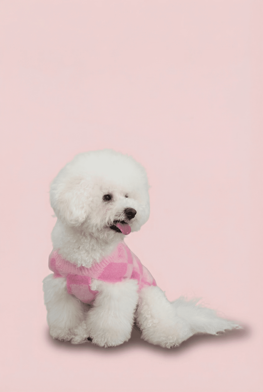 Checkered Knit Dog Sweater for Small Dogs – Soft Crewneck Outfit