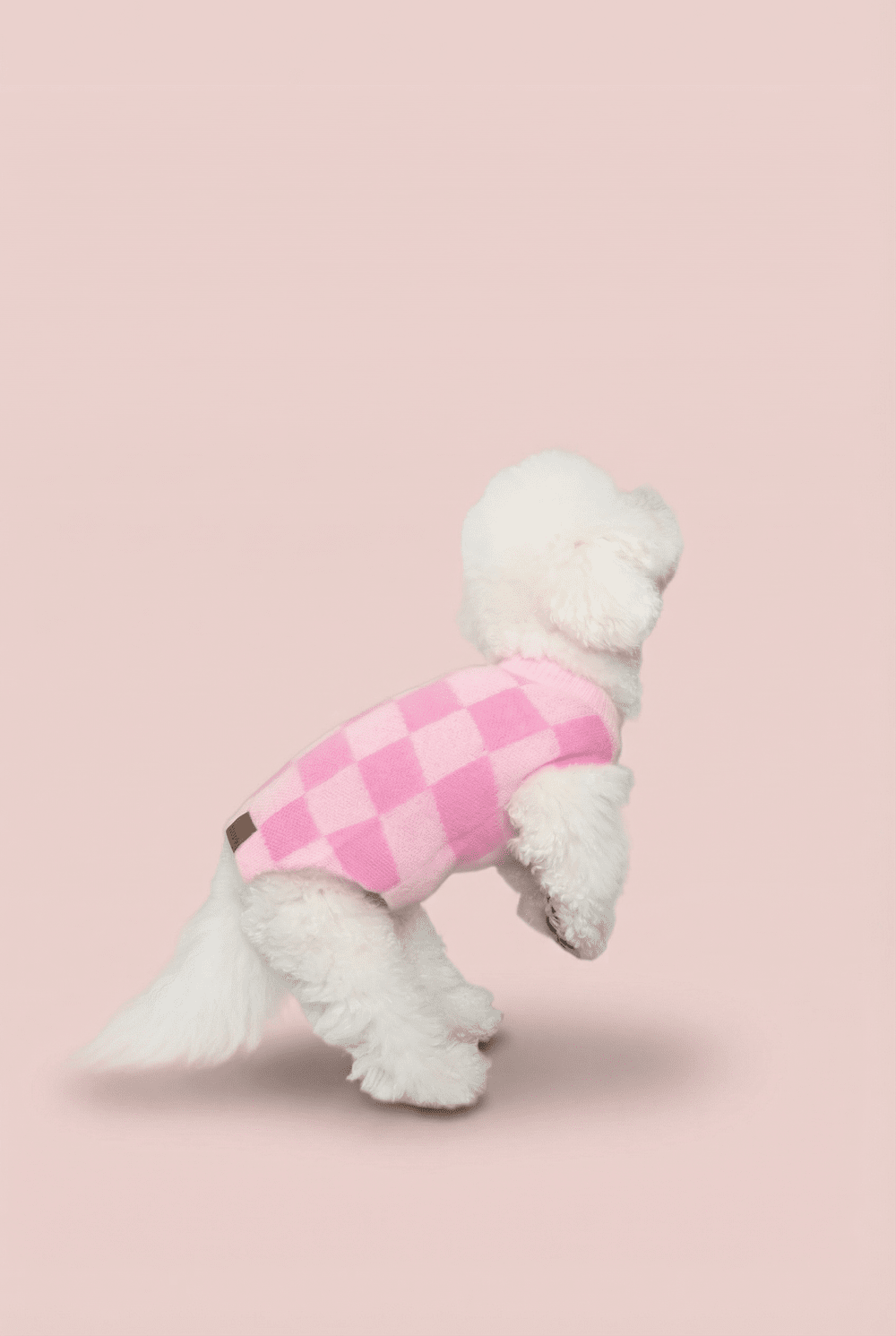 Checkered Knit Dog Sweater for Small Dogs – Soft Crewneck Outfit