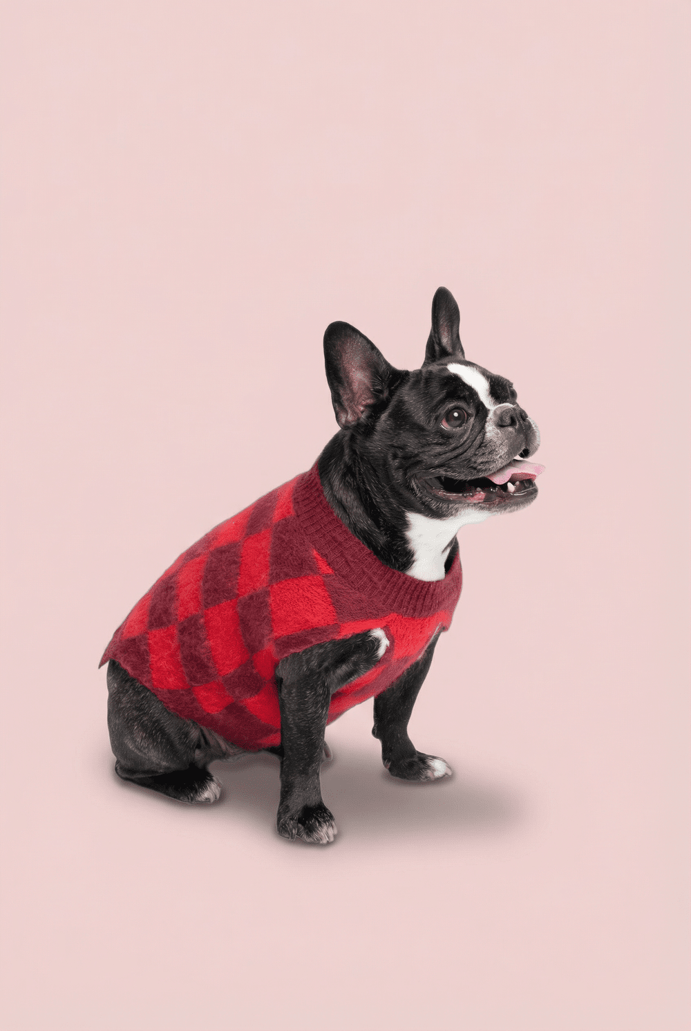 Checkered Knit Dog Sweater for Small Dogs – Soft Crewneck Outfit