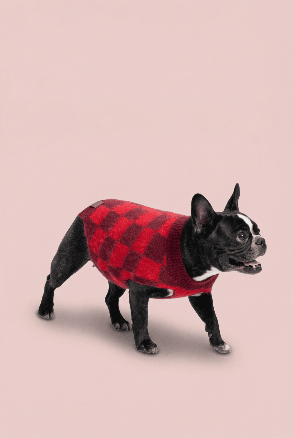 Checkered Knit Dog Sweater for Small Dogs – Soft Crewneck Outfit