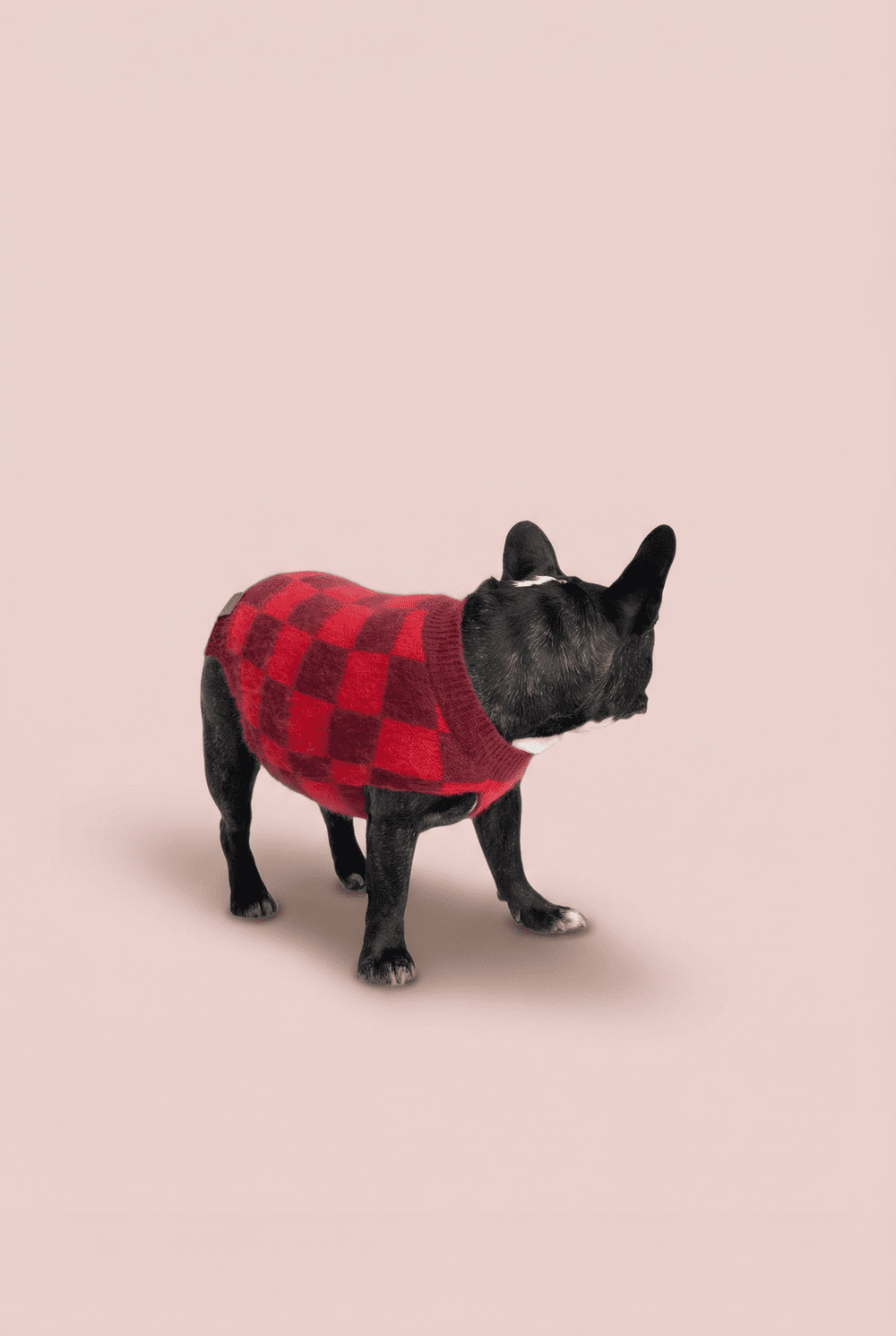 Checkered Knit Dog Sweater for Small Dogs – Soft Crewneck Outfit