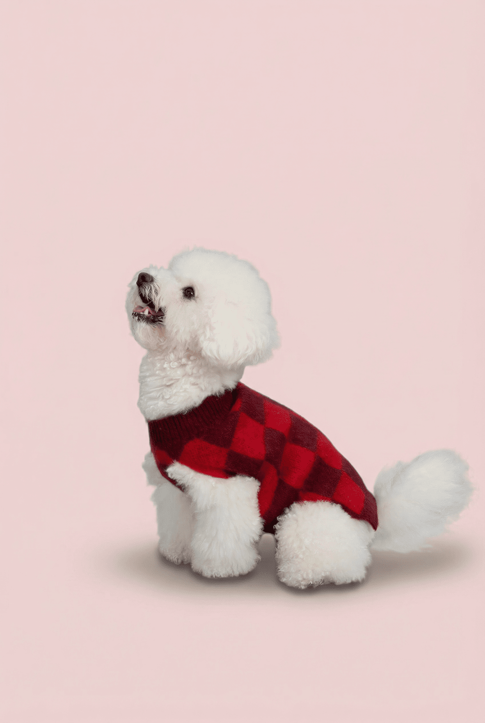 Checkered Knit Dog Sweater for Small Dogs – Soft Crewneck Outfit