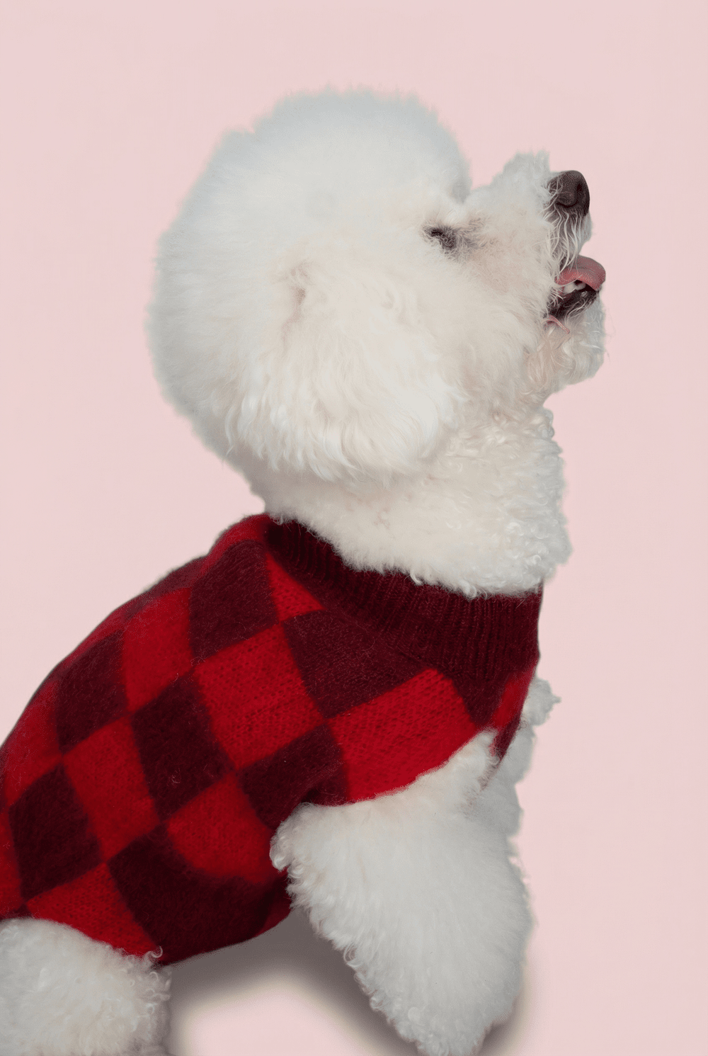 Checkered Knit Dog Sweater for Small Dogs – Soft Crewneck Outfit