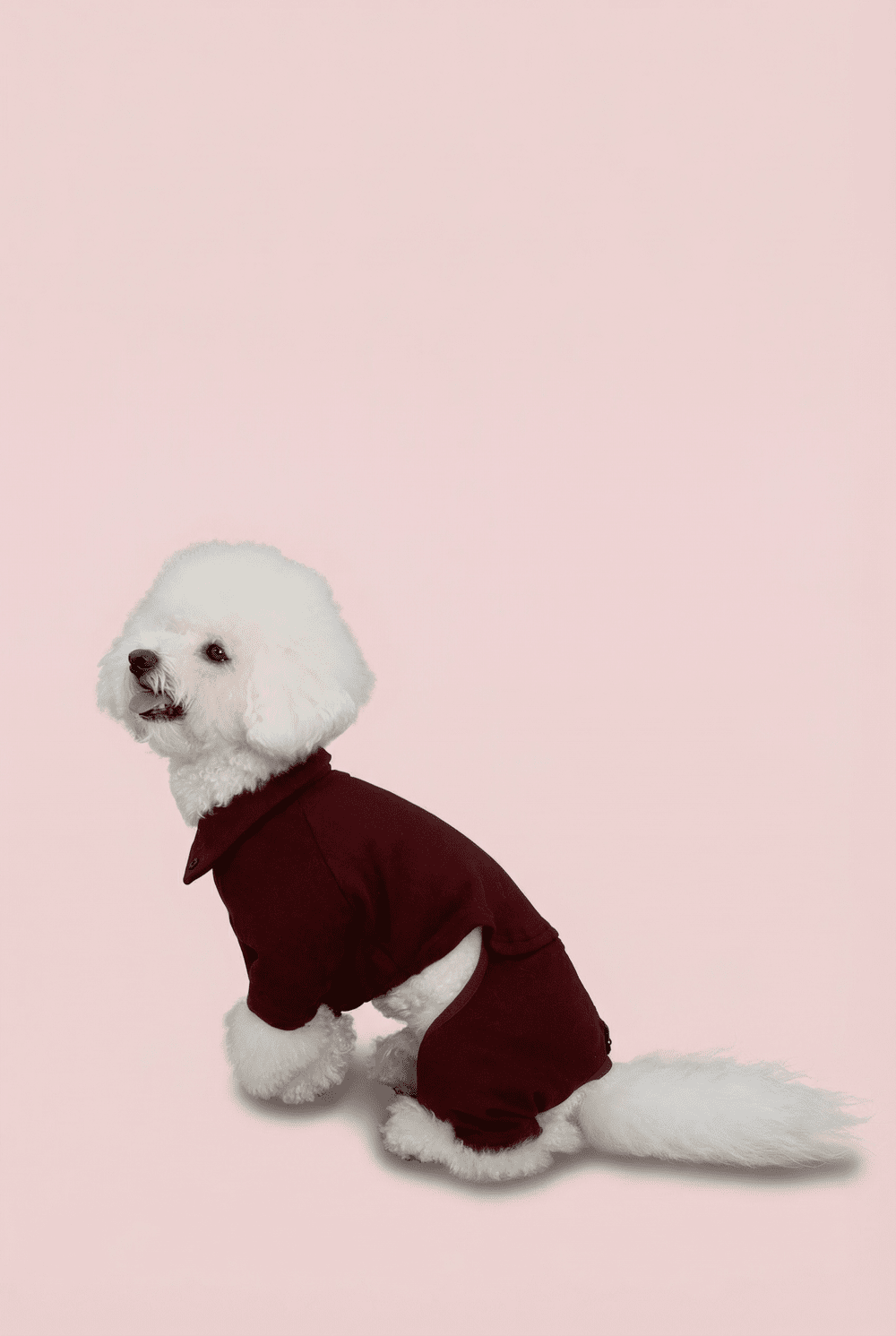 Color Block Dog Onesie for Small Dogs – Adjustable High Neck Full Body Jumper