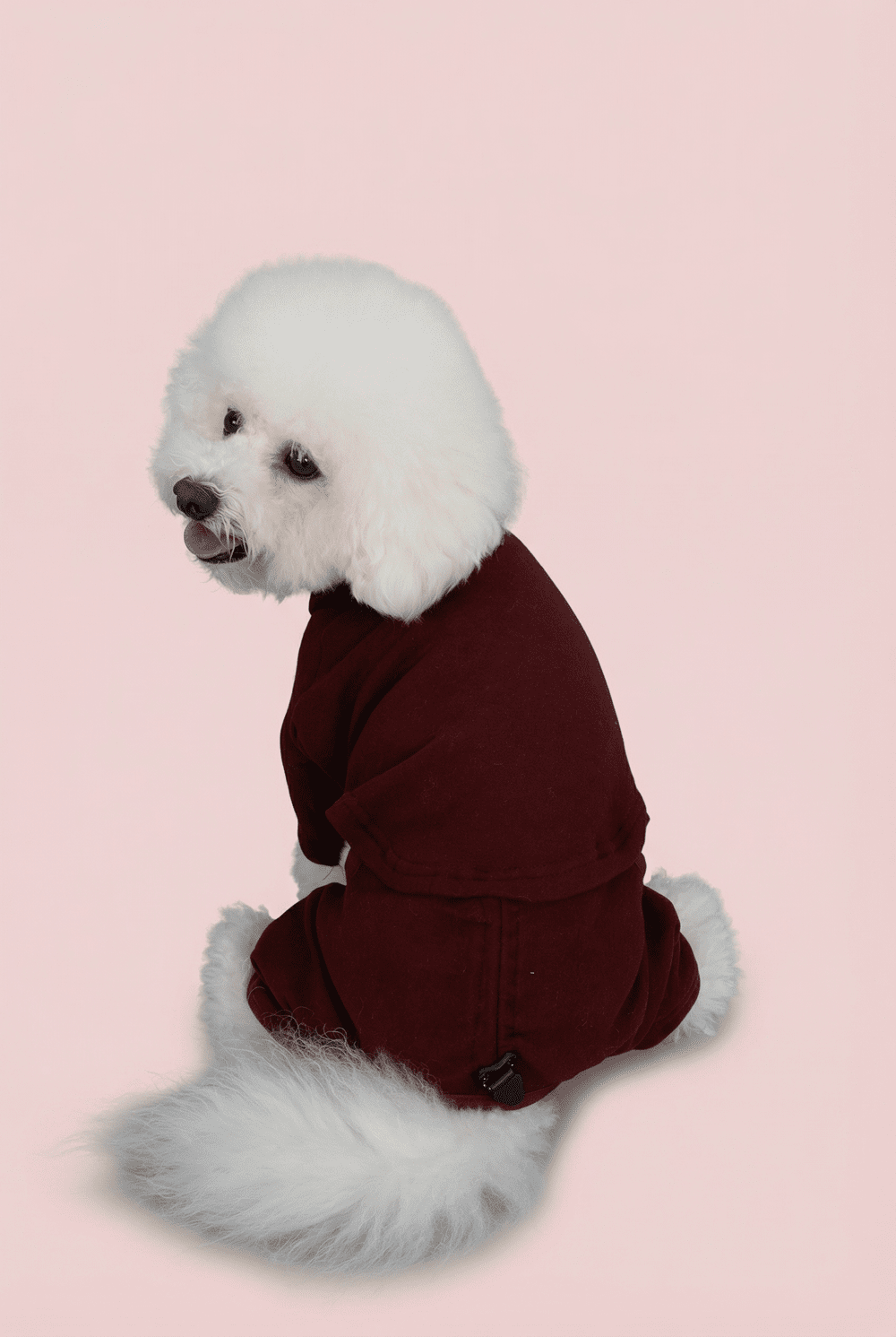 Color Block Dog Onesie for Small Dogs – Adjustable High Neck Full Body Jumper