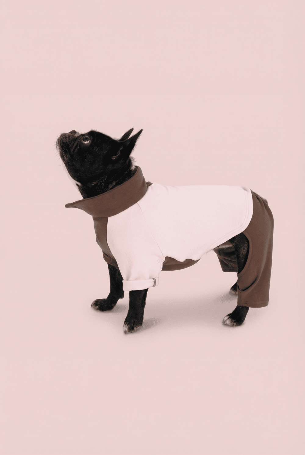 Color Block Dog Onesie for Small Dogs – Adjustable High Neck Full Body Jumper