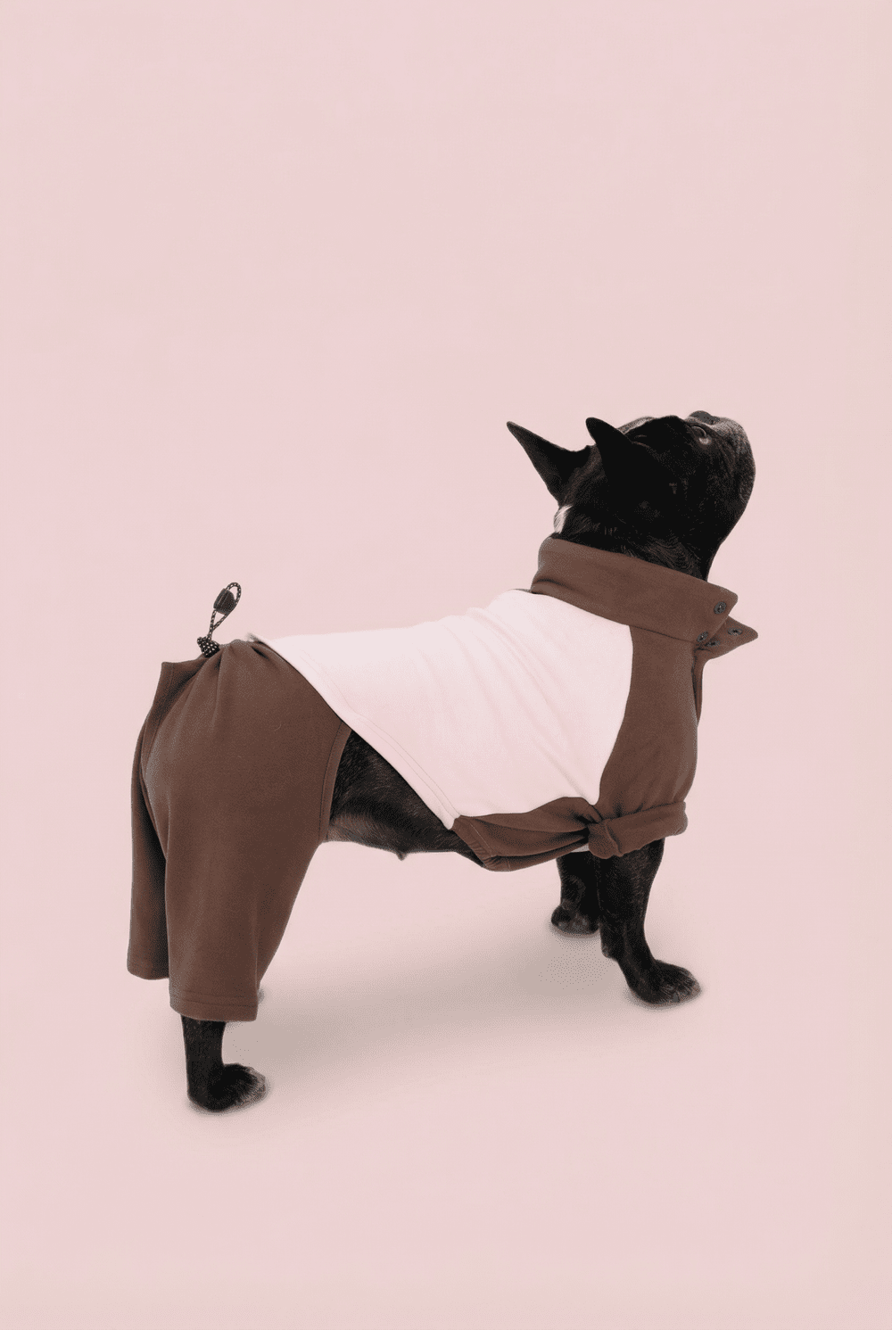 Color Block Dog Onesie for Small Dogs – Adjustable High Neck Full Body Jumper
