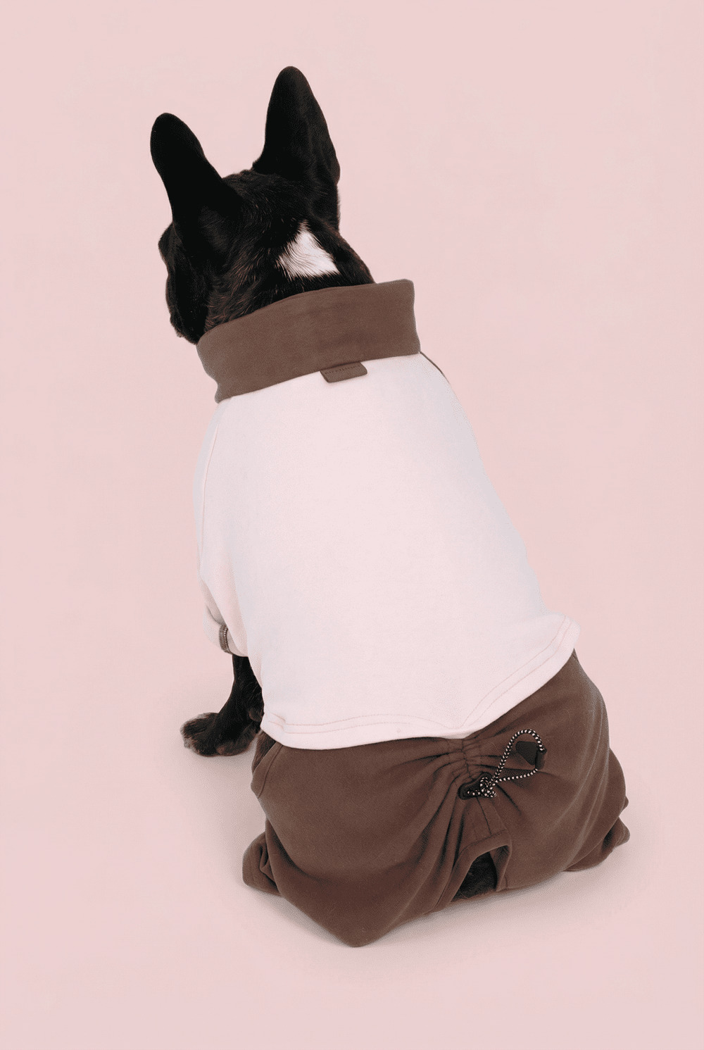 Color Block Dog Onesie for Small Dogs – Adjustable High Neck Full Body Jumper