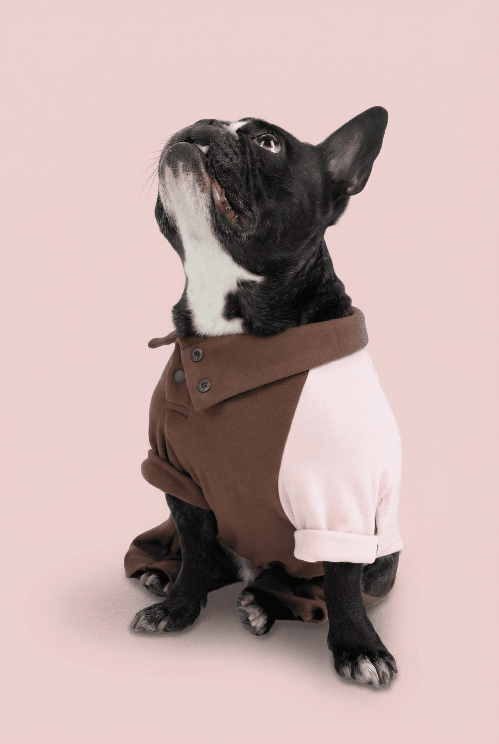 Color Block Dog Onesie for Small Dogs – Adjustable High Neck Full Body Jumper