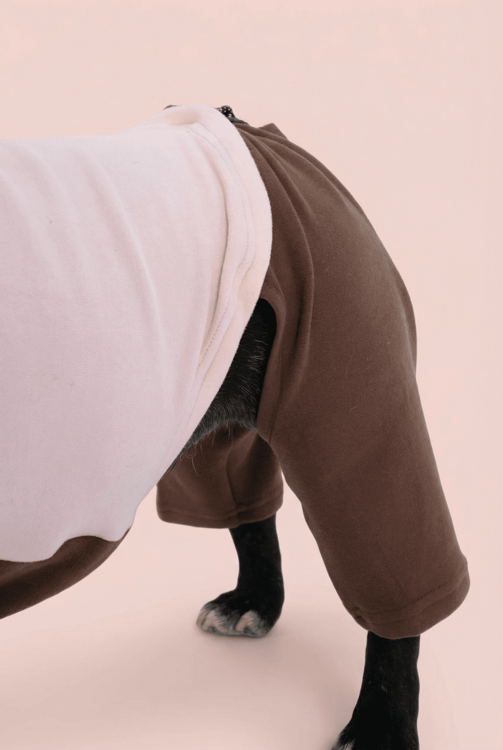 Color Block Dog Onesie for Small Dogs – Adjustable High Neck Full Body Jumper