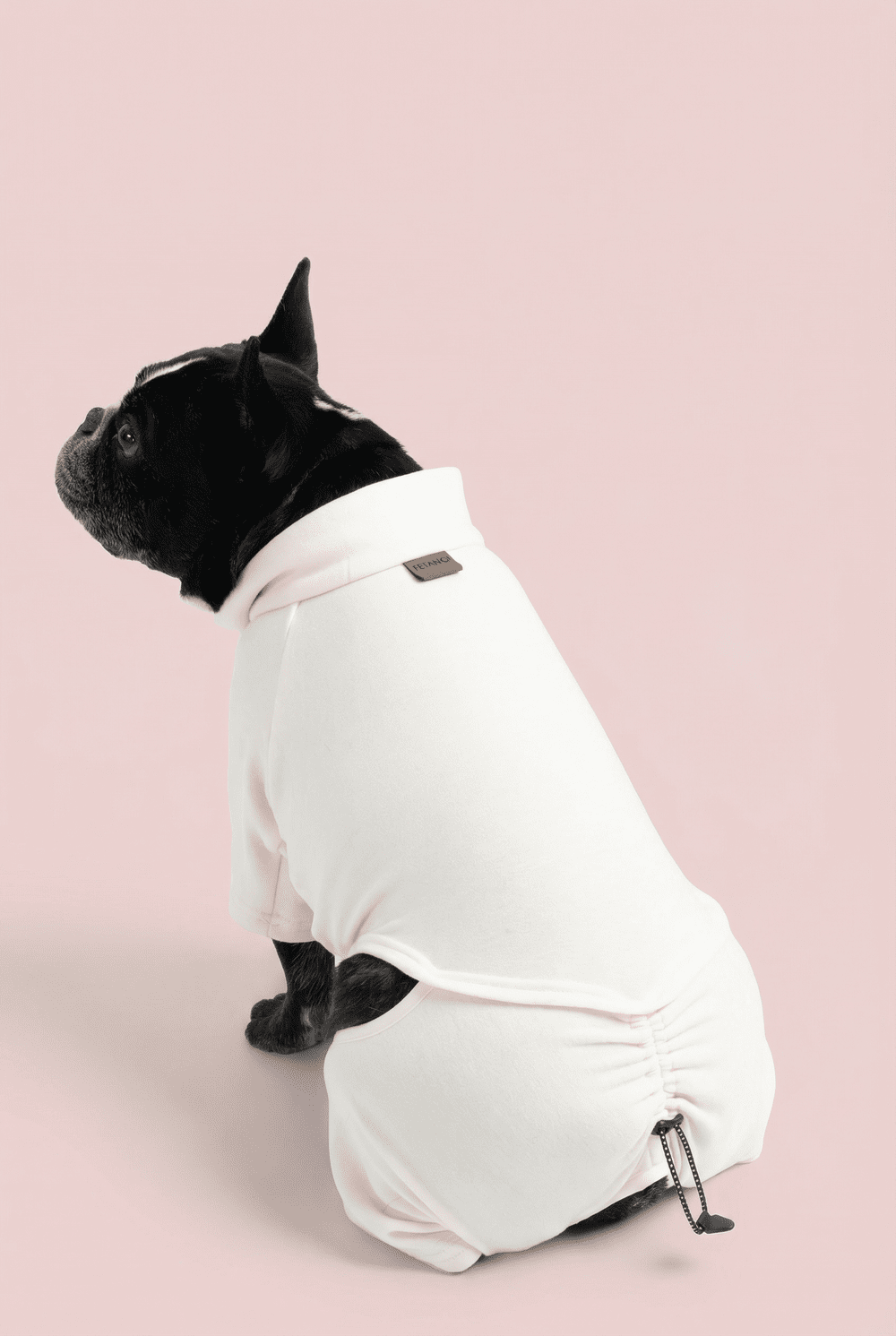 Color Block Dog Onesie for Small Dogs – Adjustable High Neck Full Body Jumper