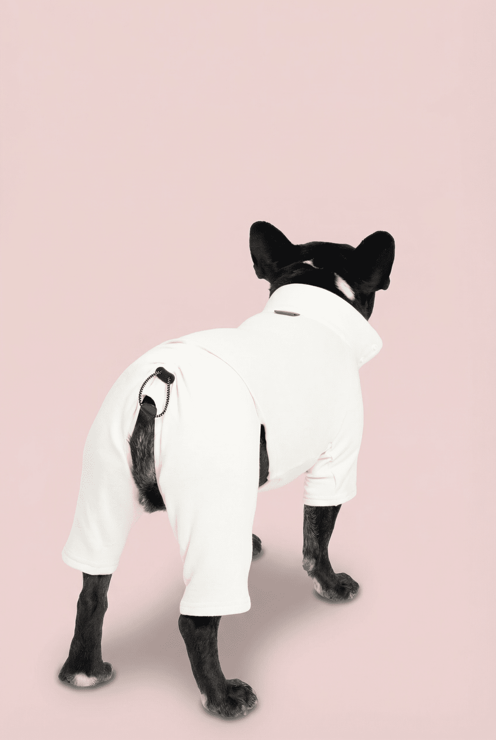 Color Block Dog Onesie for Small Dogs – Adjustable High Neck Full Body Jumper