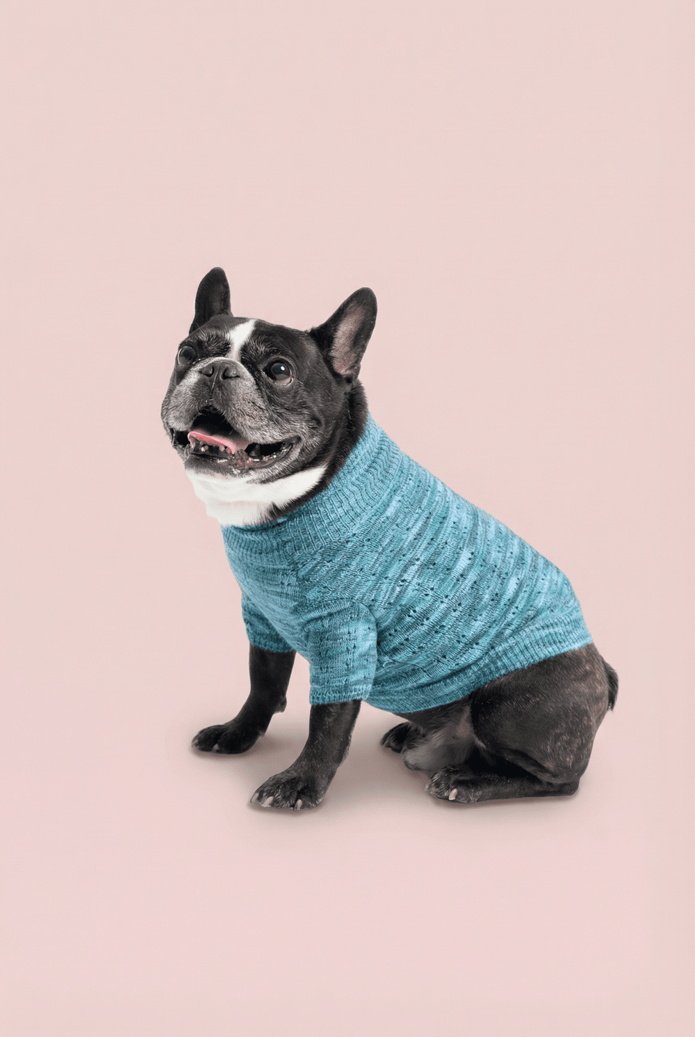 Warm Knit Dog Sweater for Small Dogs – Soft Turtleneck