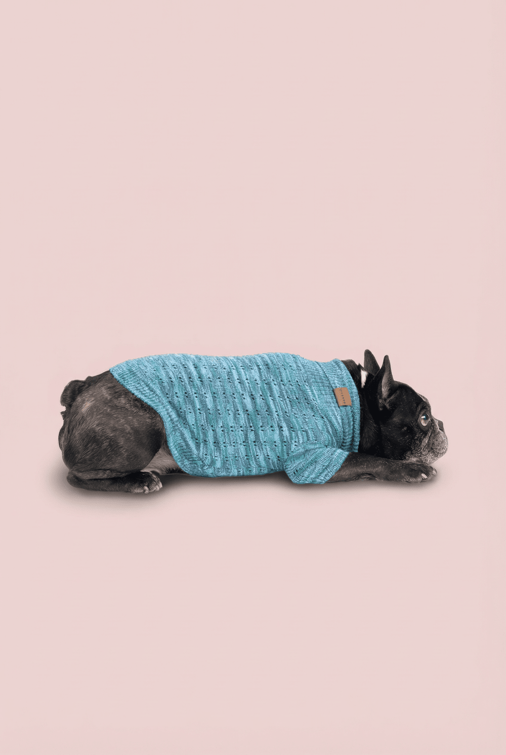 Warm Knit Dog Sweater for Small Dogs – Soft Turtleneck