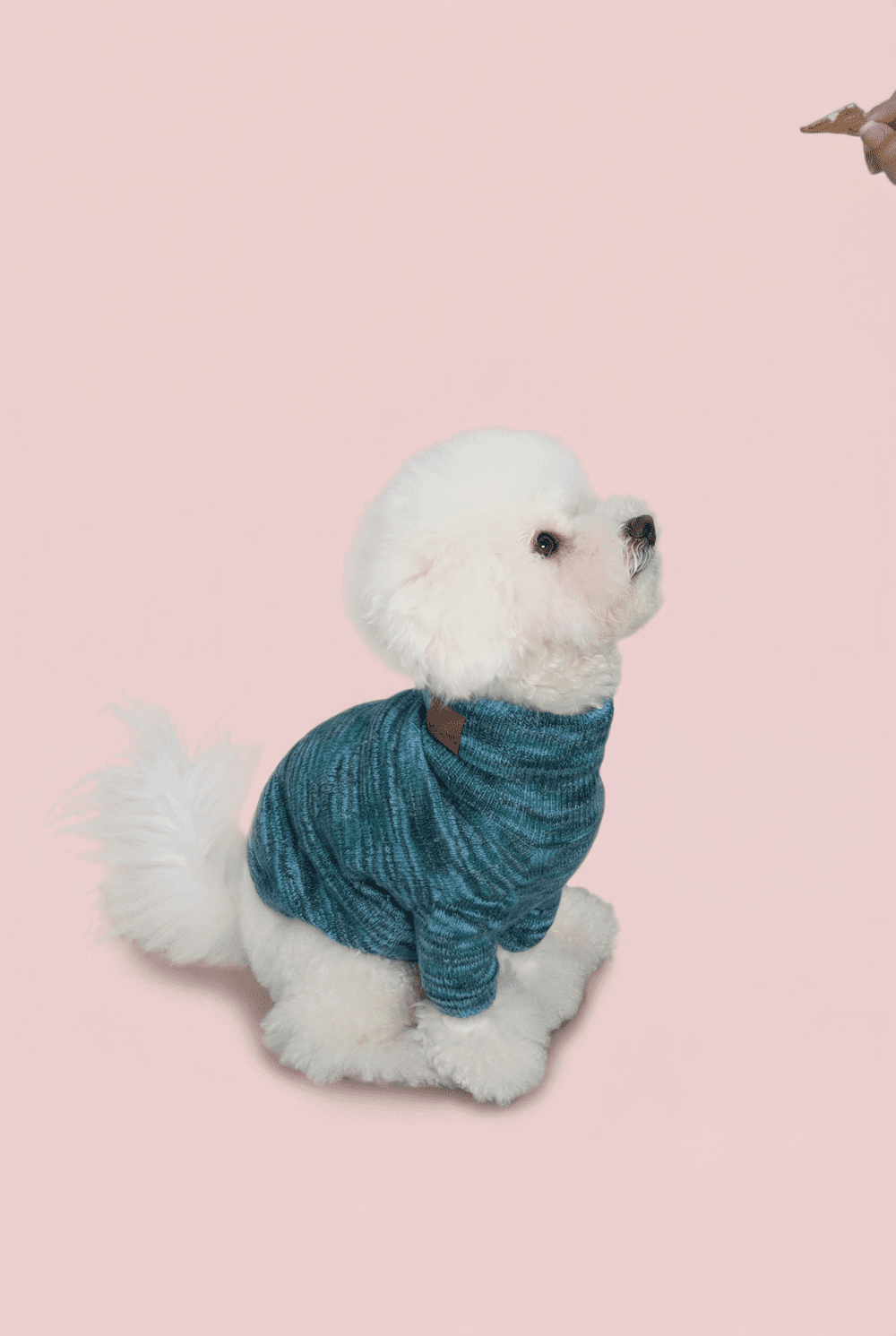 Warm Knit Dog Sweater for Small Dogs – Soft Turtleneck