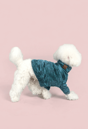 Warm Knit Dog Sweater for Small Dogs – Soft Turtleneck