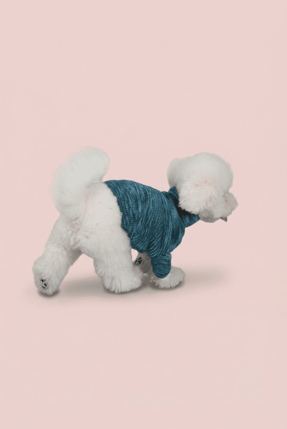 Warm Knit Dog Sweater for Small Dogs – Soft Turtleneck