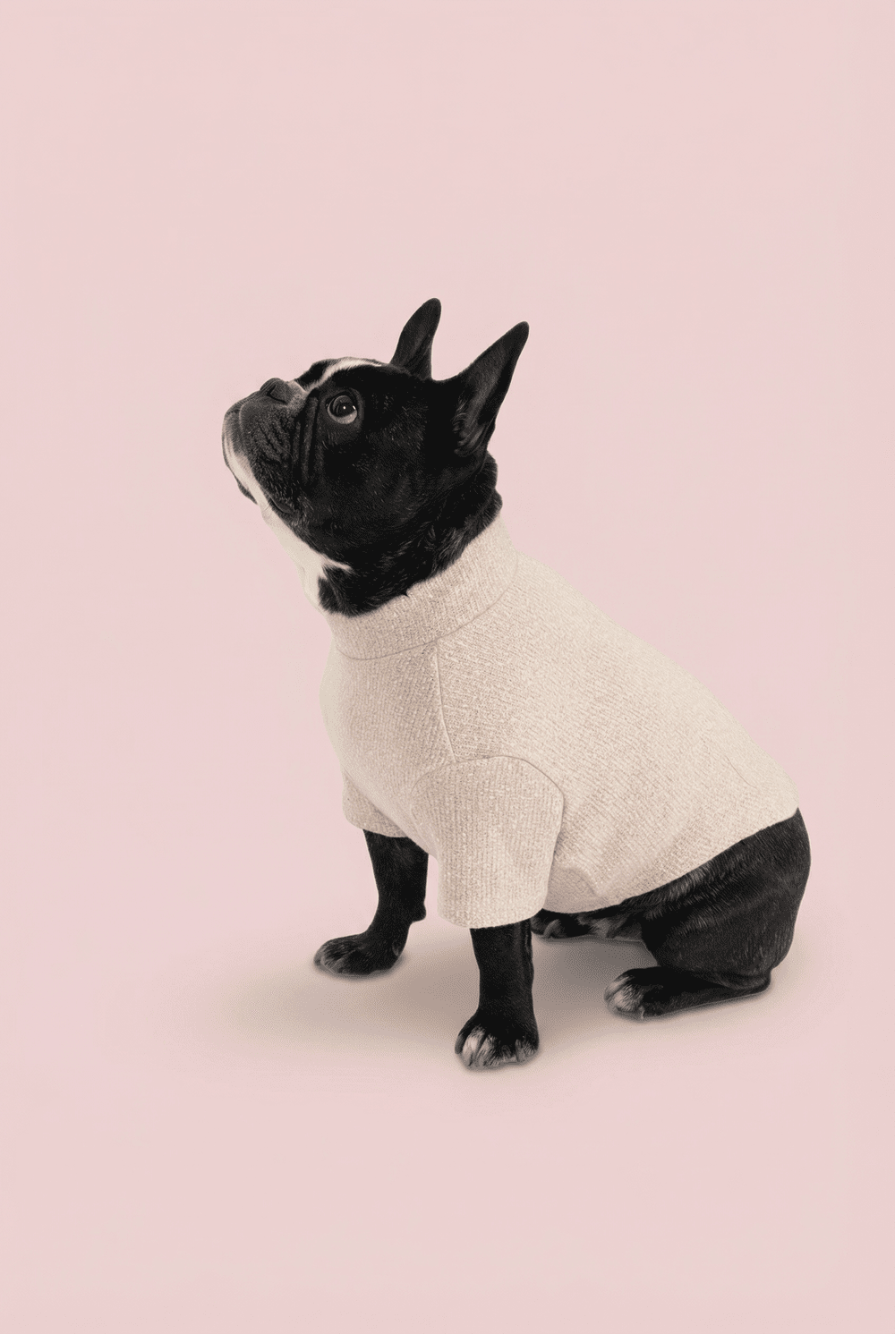 Woven Dog Shirt for Small Dogs – Soft Warm Everyday Outfit