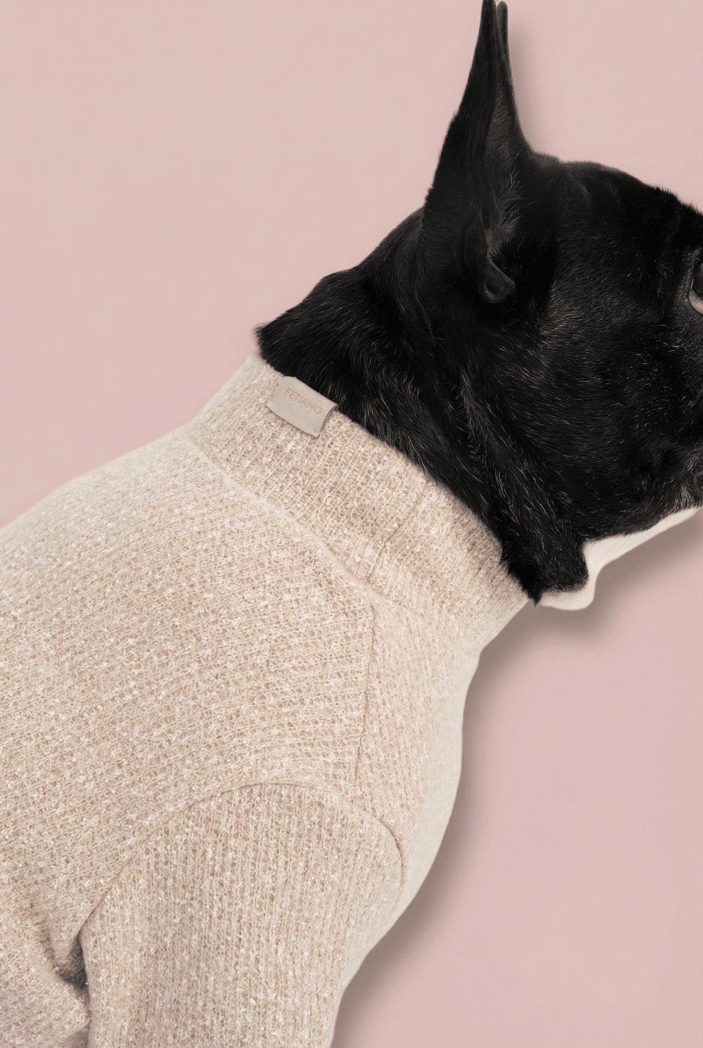 Woven Dog Shirt for Small Dogs – Soft Warm Everyday Outfit