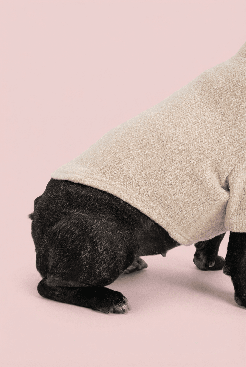 Woven Dog Shirt for Small Dogs – Soft Warm Everyday Outfit