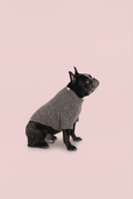 Woven Dog Shirt for Small Dogs – Soft Warm Everyday Outfit