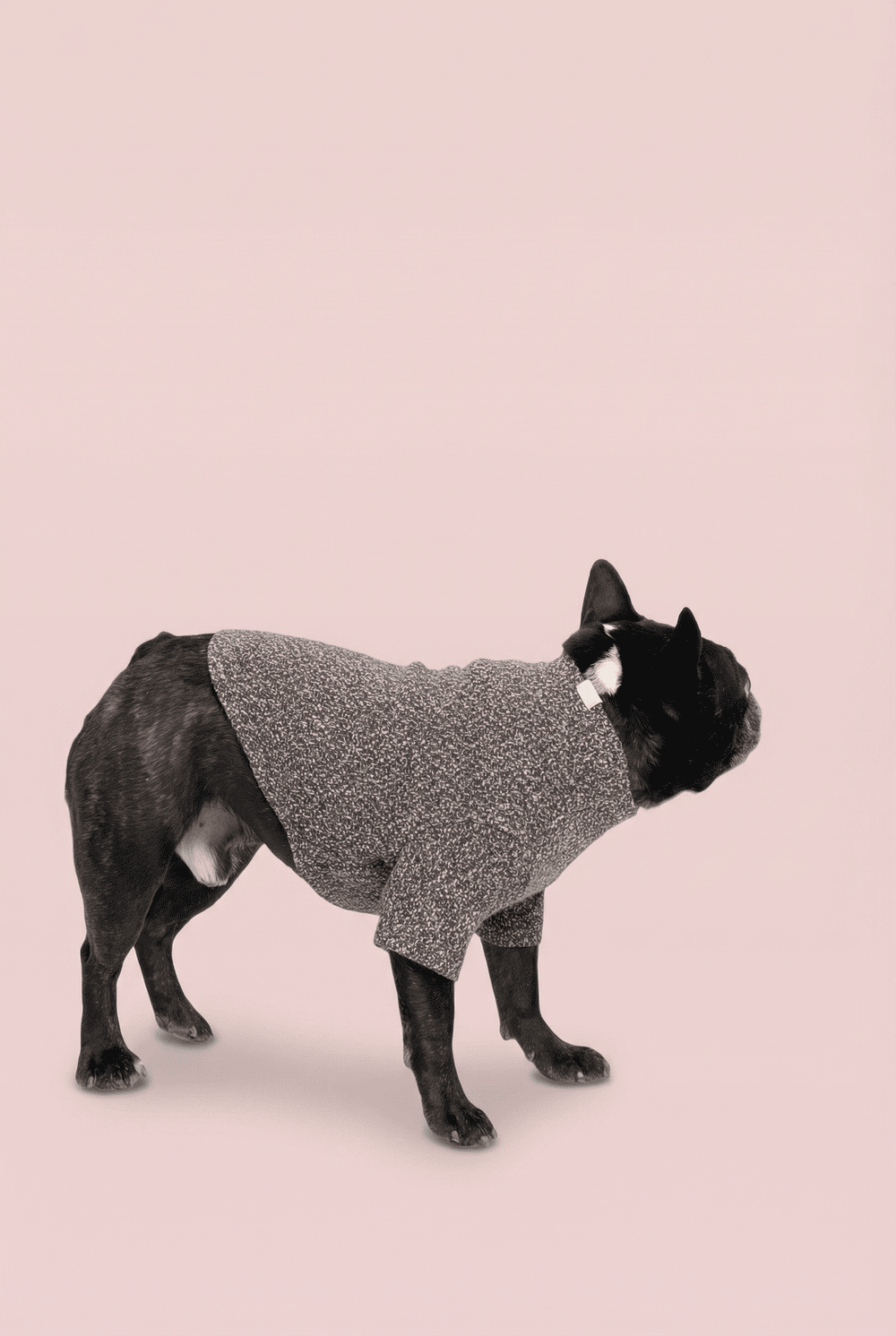 Woven Dog Shirt for Small Dogs – Soft Warm Everyday Outfit