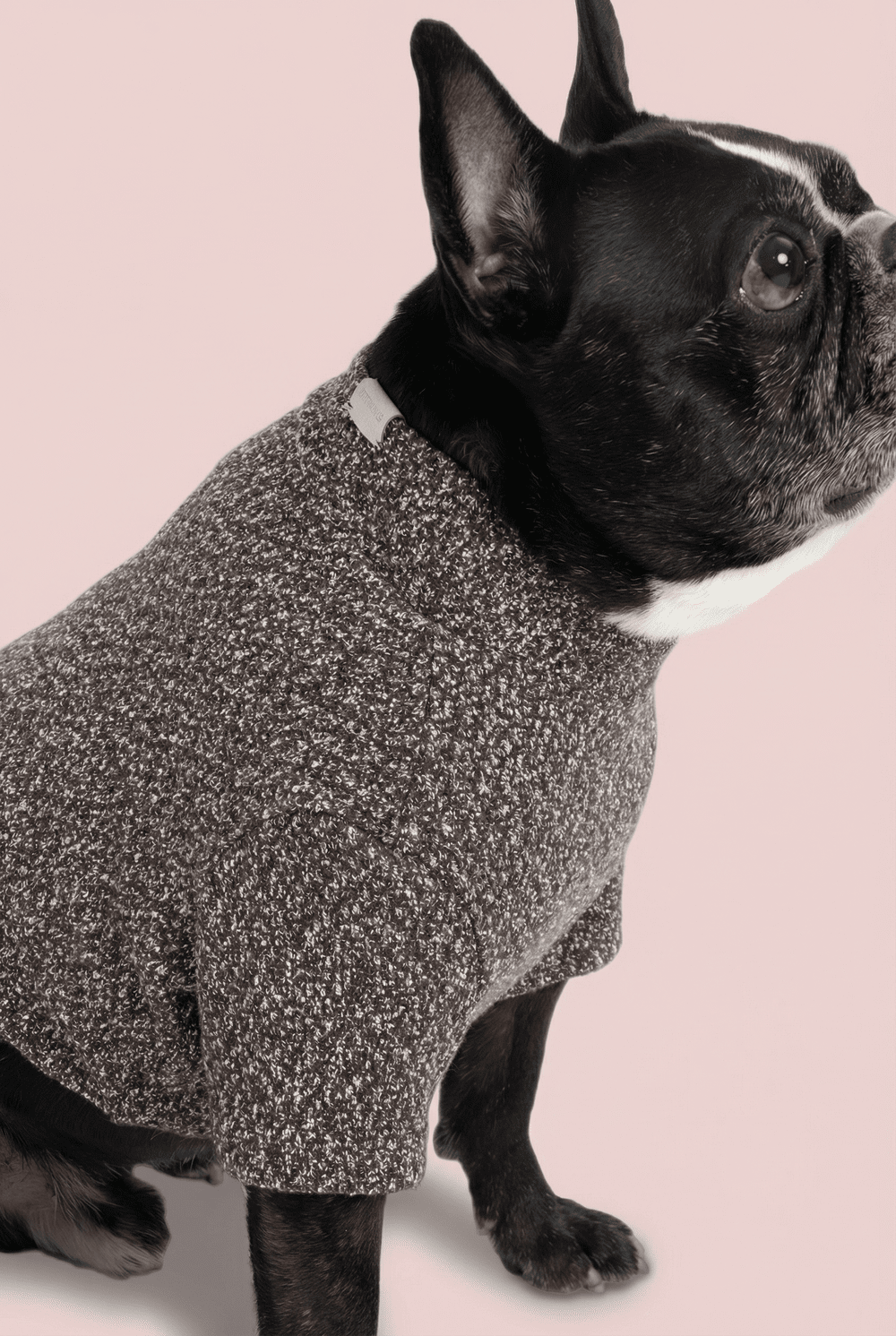 Woven Dog Shirt for Small Dogs – Soft Warm Everyday Outfit