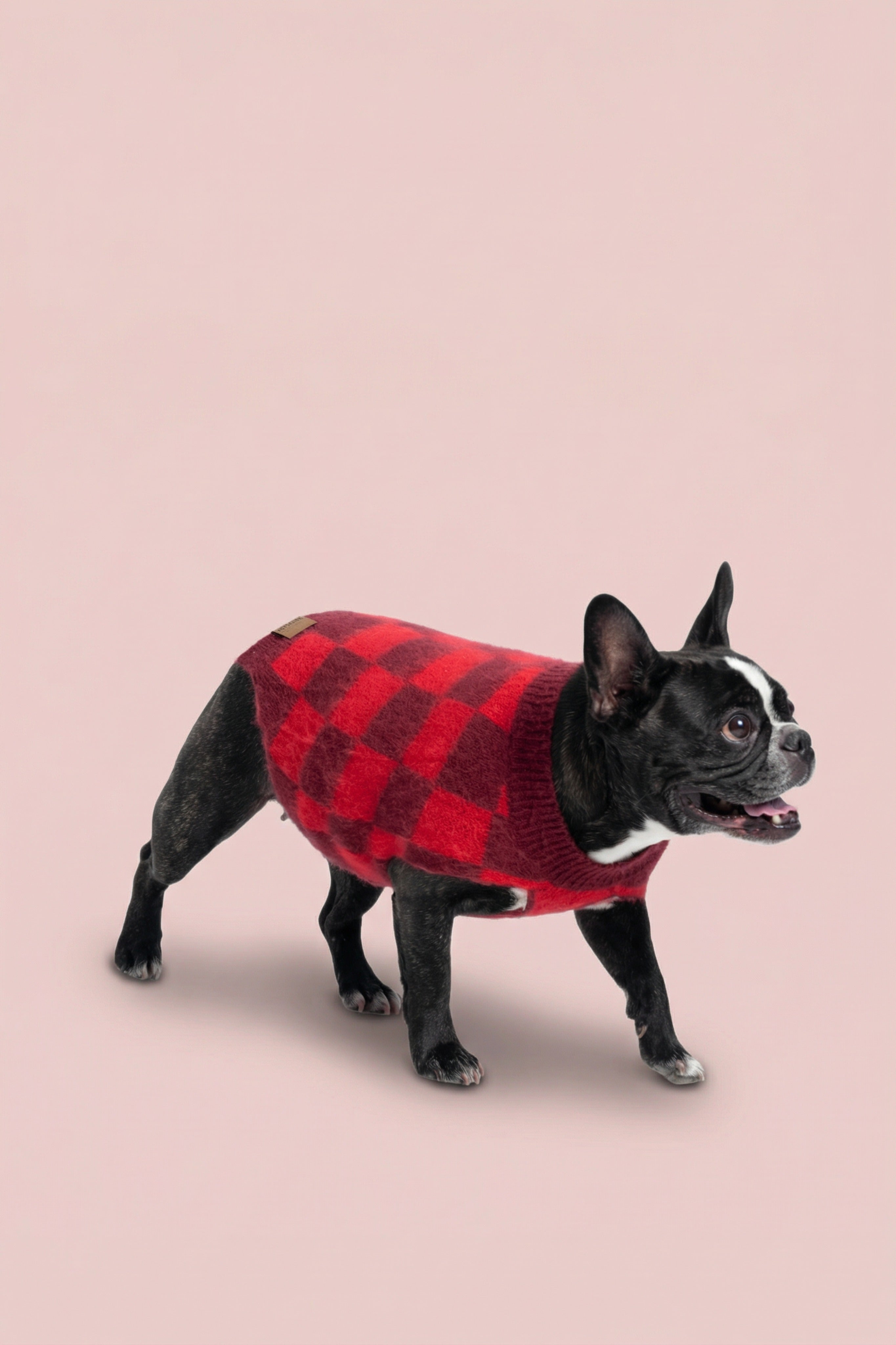 Checkered Dog Sweater