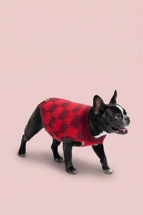 Checkered Dog Sweater