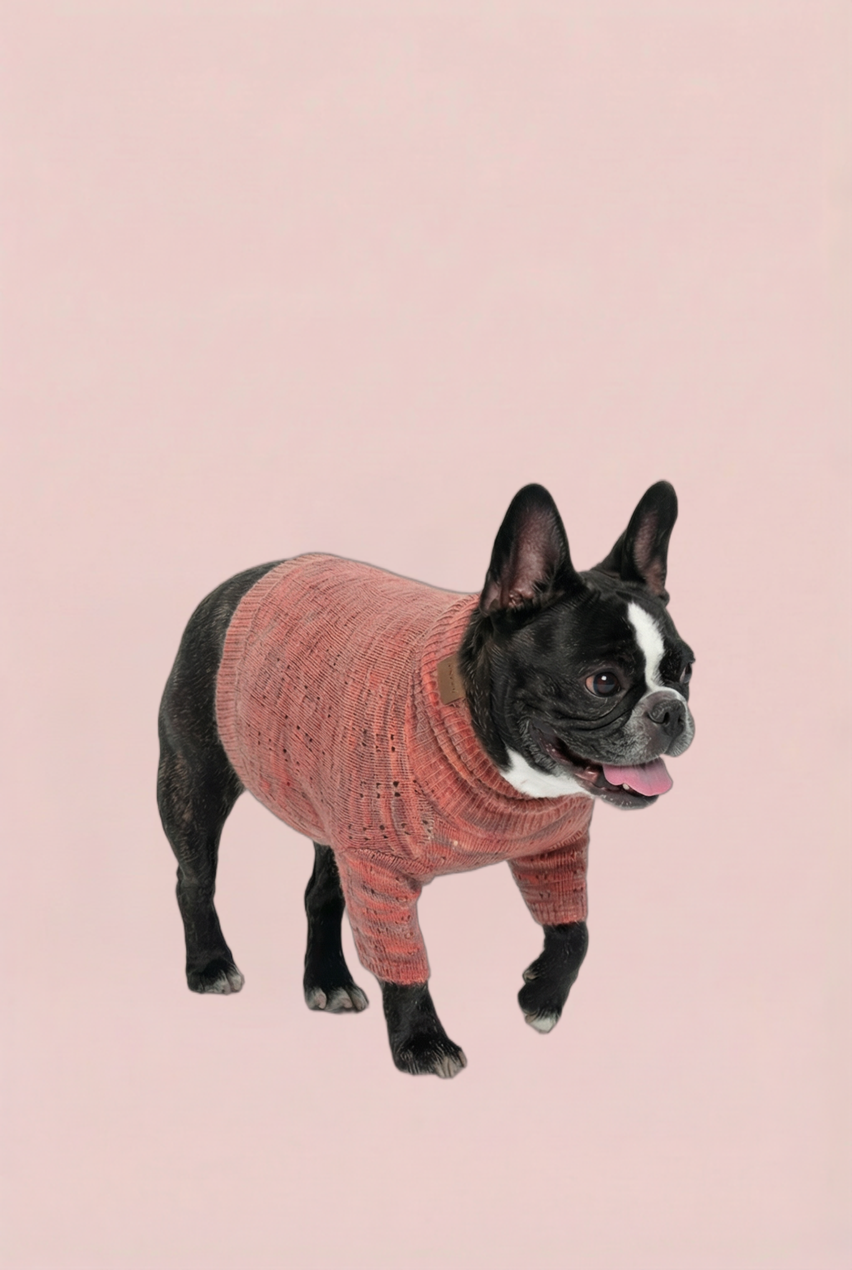 Blue Lace Knit Sweater